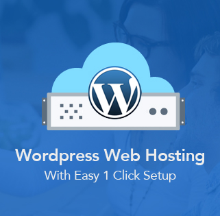 Wordpress Web Hosting advertisement